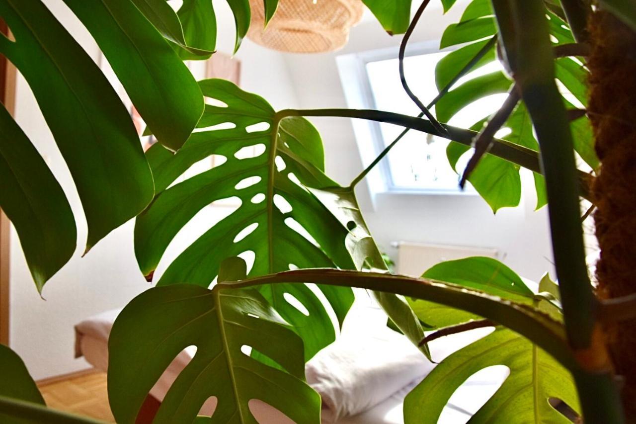 Greenbnbs: Cozy Urban Jungle In The City Centre Essen Ngoại thất bức ảnh
