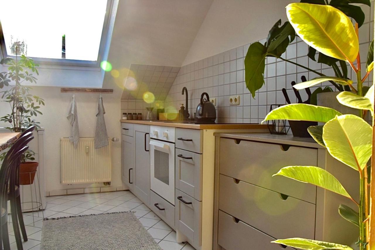 Greenbnbs: Cozy Urban Jungle In The City Centre Essen Ngoại thất bức ảnh