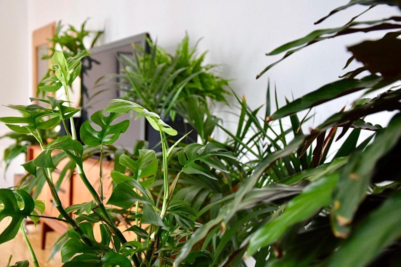 Greenbnbs: Cozy Urban Jungle In The City Centre Essen Ngoại thất bức ảnh