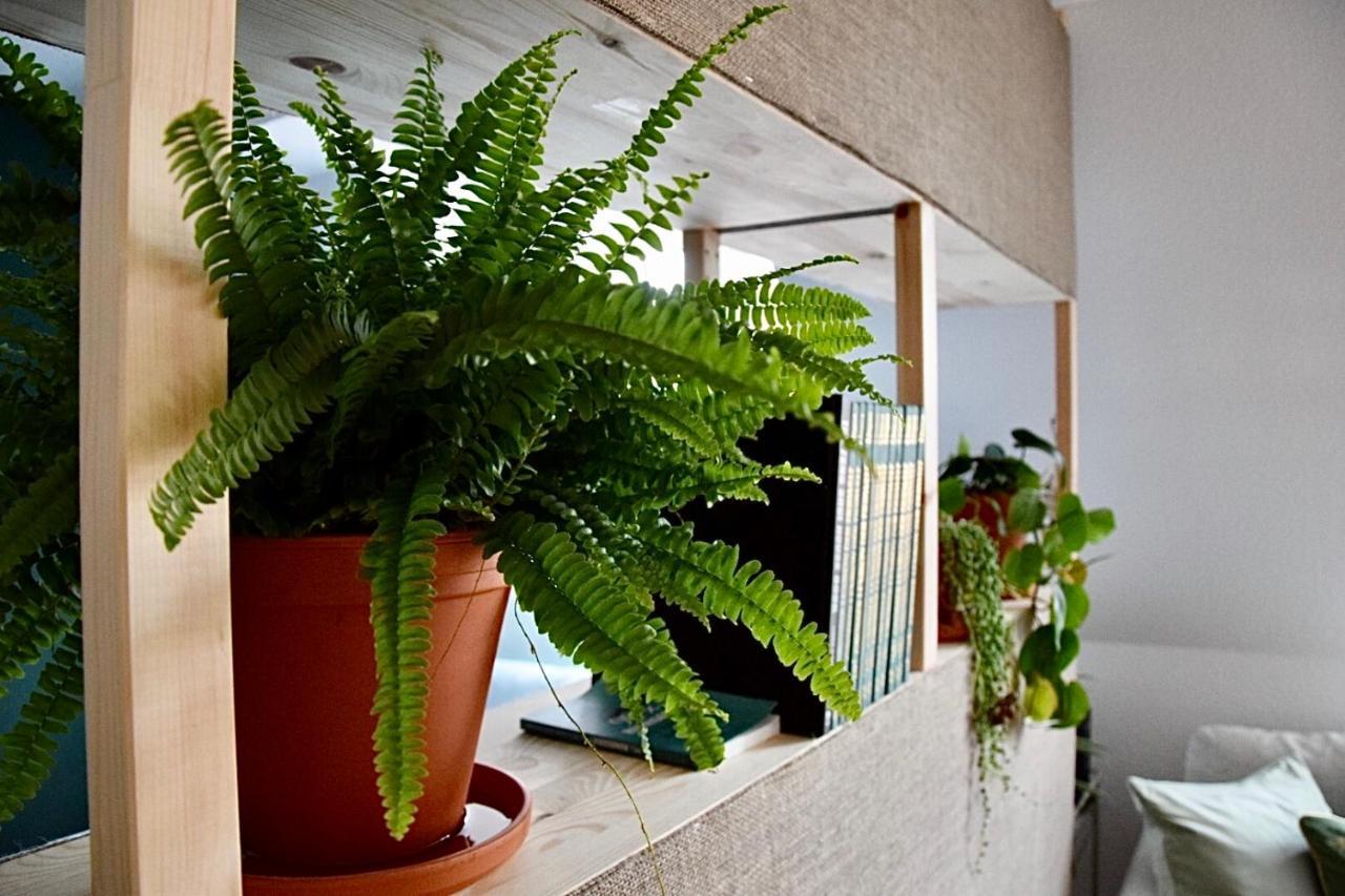 Greenbnbs: Cozy Urban Jungle In The City Centre Essen Ngoại thất bức ảnh